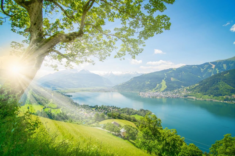 Blick auf Zell am See