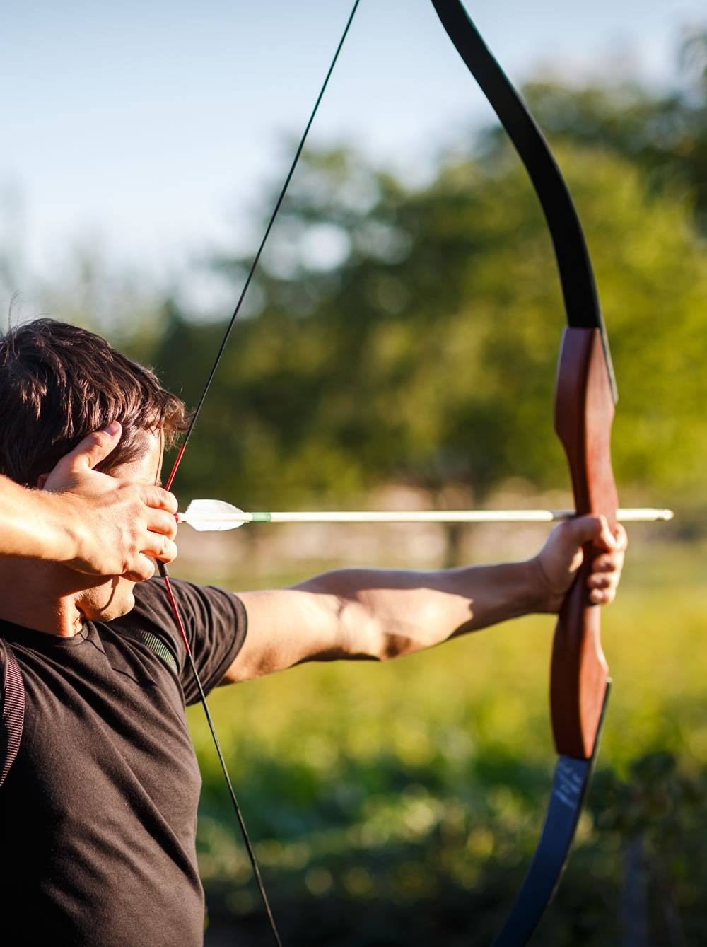 Archery стрельба из лука