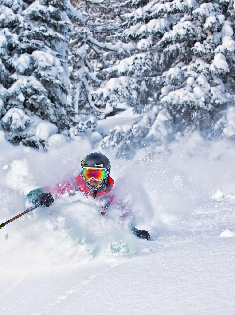 Pures Powder Glück beim Freeriden in Saalbach width=