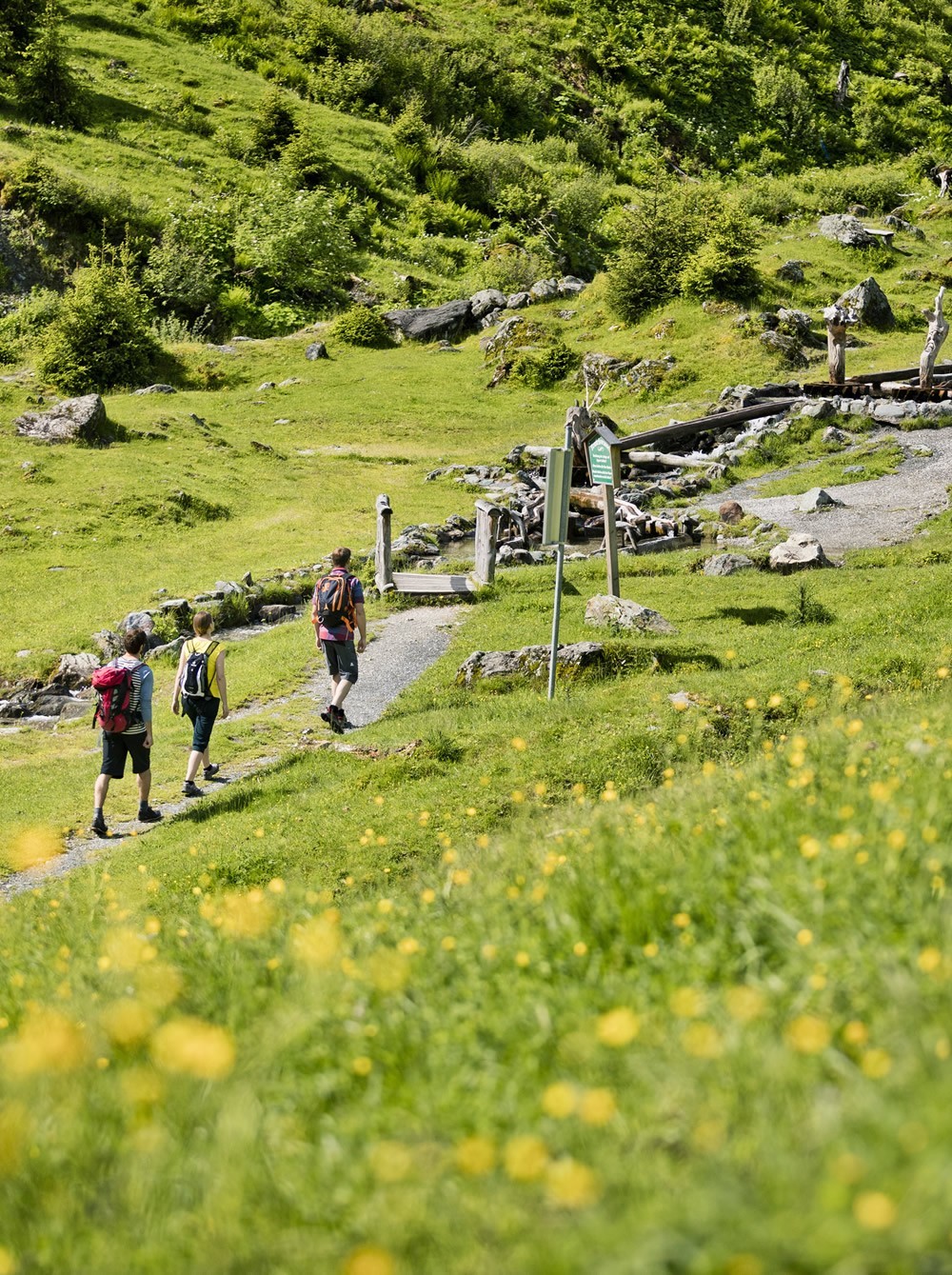 Gut gekennzeichnete Wanderwege in Saalbach width=