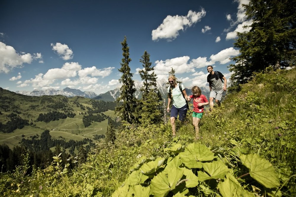 Leichte Wanderungen für Familien